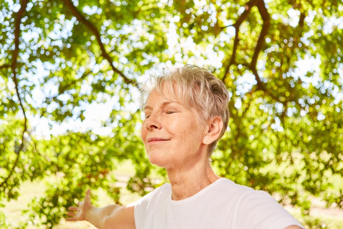 L'Accompagnement en Jardin Thérapeutique : Clé du Bien-être