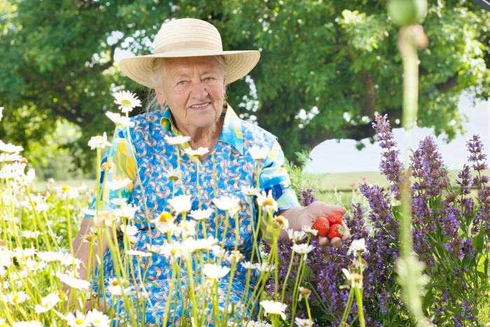 Conception Sécurisée de Jardins Thérapeutiques en Ehpad