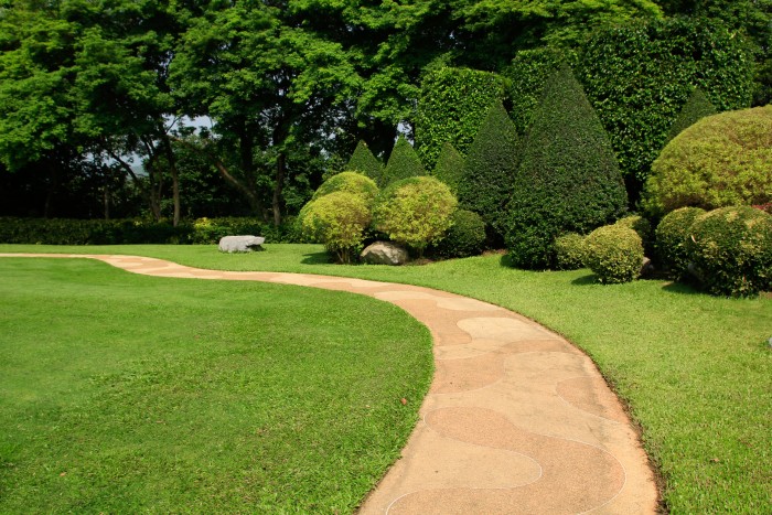 Croissance des Jardins Thérapeutiques en Ehpad