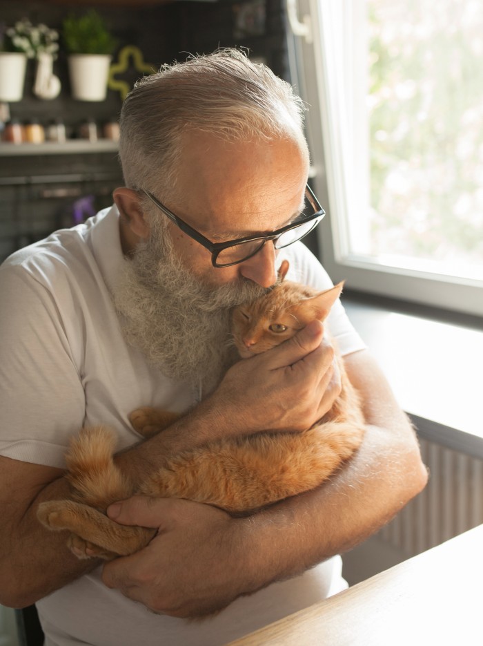 Défis De L’Intégration Des Chats En EHPAD